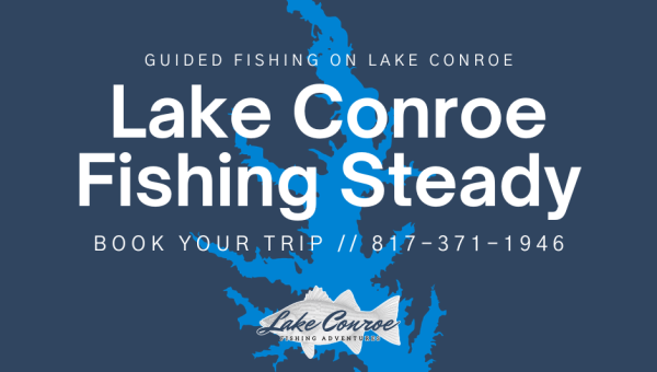 Lake Conroe Fishing Steady